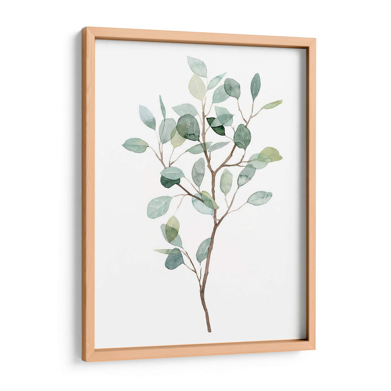 Seaglass Eucalyptus I - Grace Popp | Cuadro decorativo de Canvas Lab