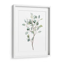 Seaglass Eucalyptus I - Grace Popp | Cuadro decorativo de Canvas Lab
