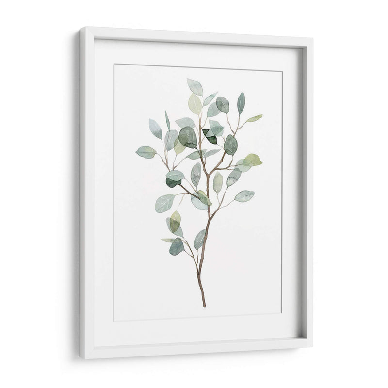 Seaglass Eucalyptus I - Grace Popp | Cuadro decorativo de Canvas Lab