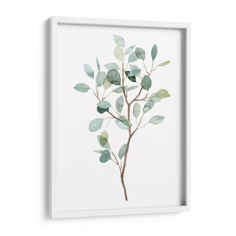 Seaglass Eucalyptus I - Grace Popp | Cuadro decorativo de Canvas Lab