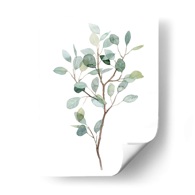 Seaglass Eucalyptus I - Grace Popp | Cuadro decorativo de Canvas Lab