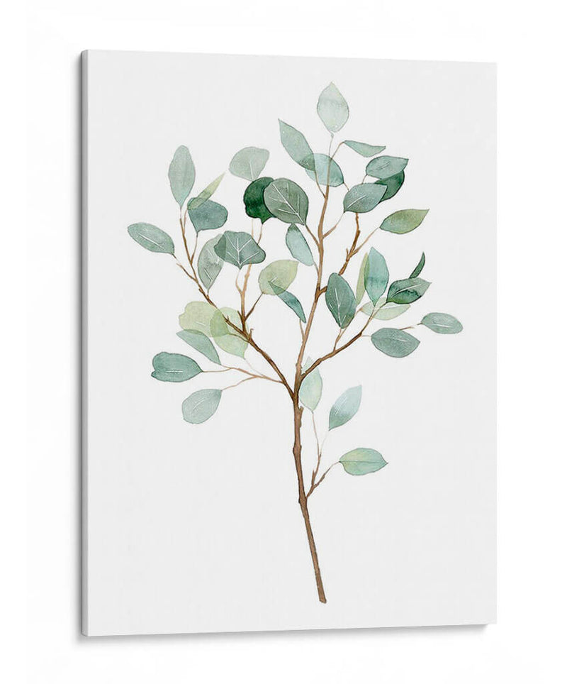 Seaglass Eucalyptus Ii - Grace Popp | Cuadro decorativo de Canvas Lab