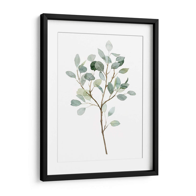 Seaglass Eucalyptus Ii - Grace Popp | Cuadro decorativo de Canvas Lab