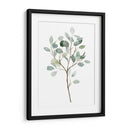 Seaglass Eucalyptus Ii - Grace Popp | Cuadro decorativo de Canvas Lab