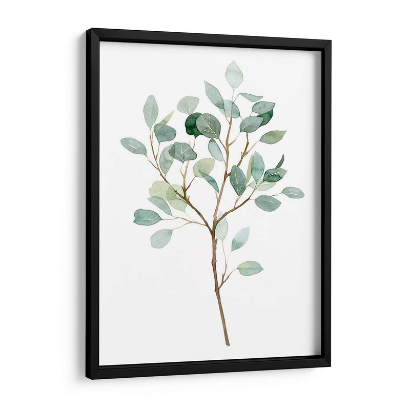 Seaglass Eucalyptus Ii - Grace Popp | Cuadro decorativo de Canvas Lab