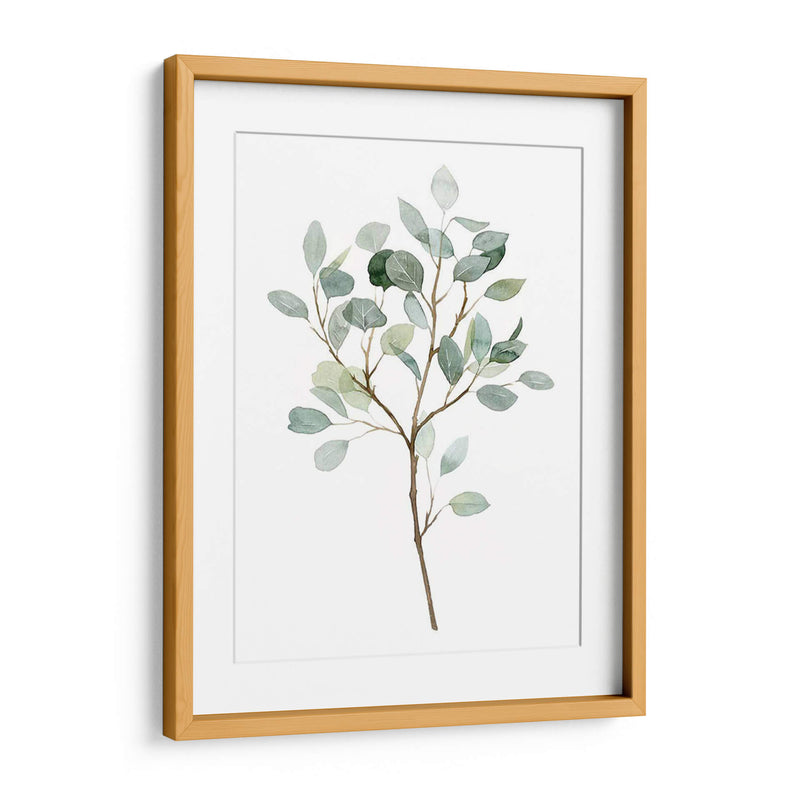 Seaglass Eucalyptus Ii - Grace Popp | Cuadro decorativo de Canvas Lab