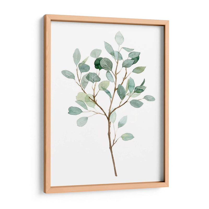 Seaglass Eucalyptus Ii - Grace Popp | Cuadro decorativo de Canvas Lab