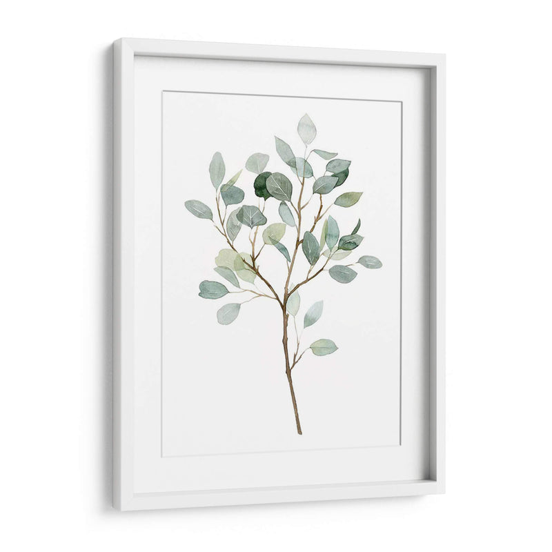 Seaglass Eucalyptus Ii - Grace Popp | Cuadro decorativo de Canvas Lab