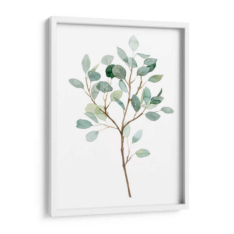 Seaglass Eucalyptus Ii - Grace Popp | Cuadro decorativo de Canvas Lab