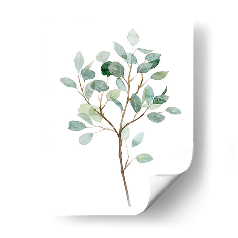 Seaglass Eucalyptus Ii - Grace Popp | Cuadro decorativo de Canvas Lab