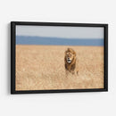 León observando | Cuadro decorativo de Canvas Lab