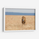León observando | Cuadro decorativo de Canvas Lab