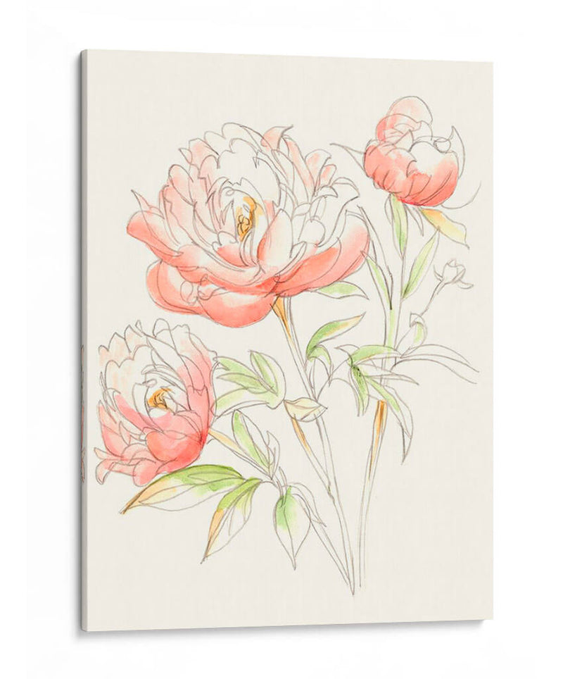 Acuarela Floral Variedad Iii - Ethan Harper | Cuadro decorativo de Canvas Lab