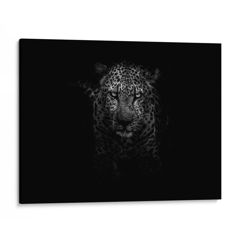 Leopardo en la penumbra | Cuadro decorativo de Canvas Lab