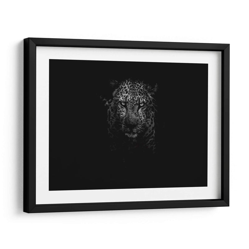 Leopardo en la penumbra | Cuadro decorativo de Canvas Lab