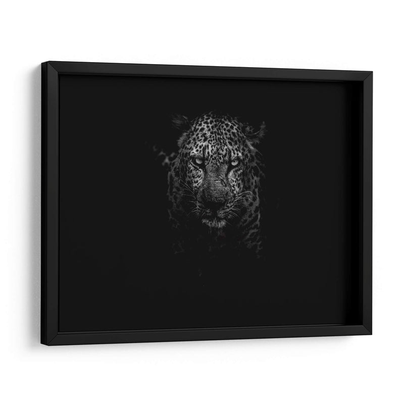 Leopardo en la penumbra | Cuadro decorativo de Canvas Lab