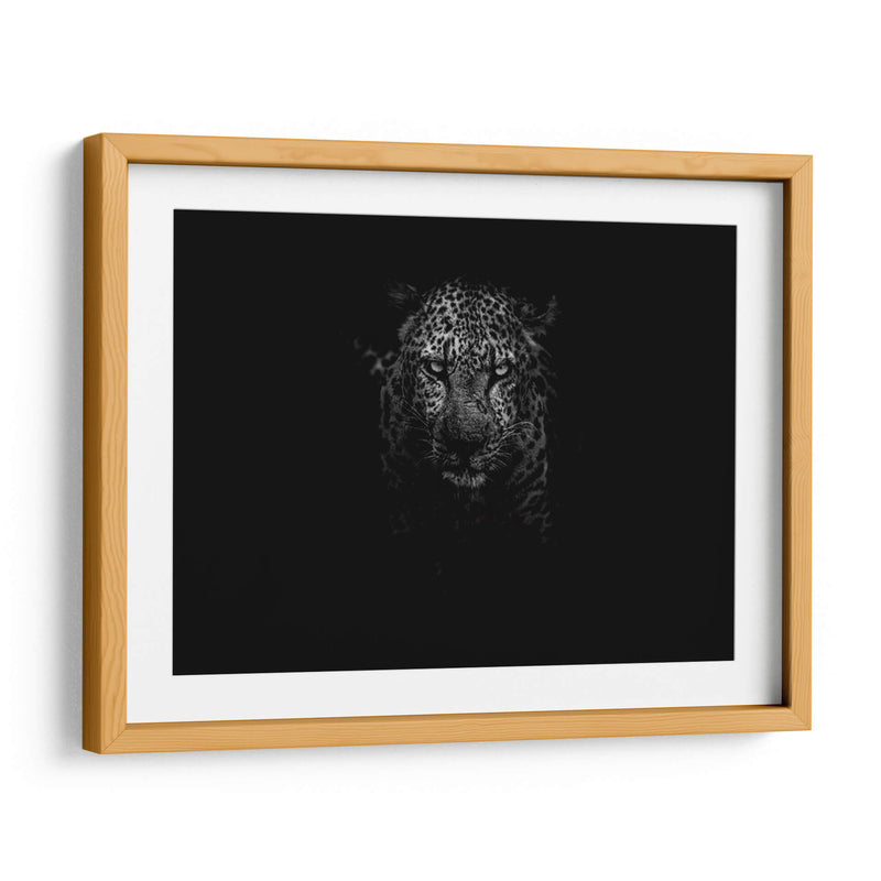 Leopardo en la penumbra | Cuadro decorativo de Canvas Lab