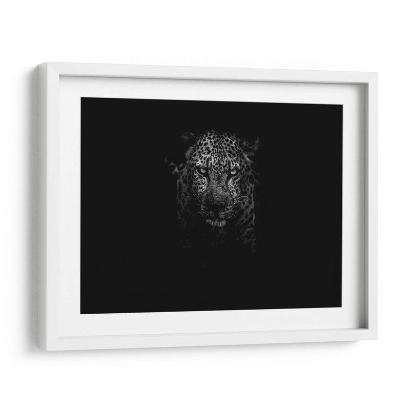 Leopardo en la penumbra | Cuadro decorativo de Canvas Lab