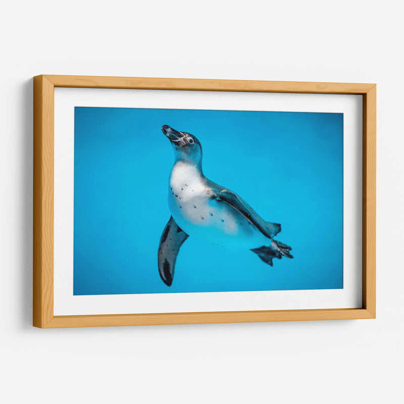 Cuadro decorativo de Canvas Lab