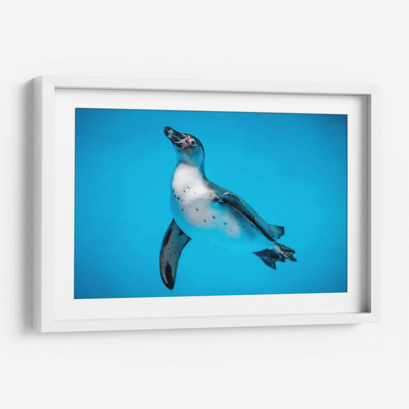 Cuadro decorativo de Canvas Lab