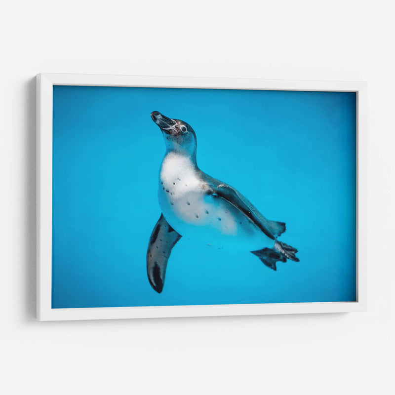 Cuadro decorativo de Canvas Lab