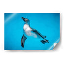 Cuadro decorativo de Canvas Lab