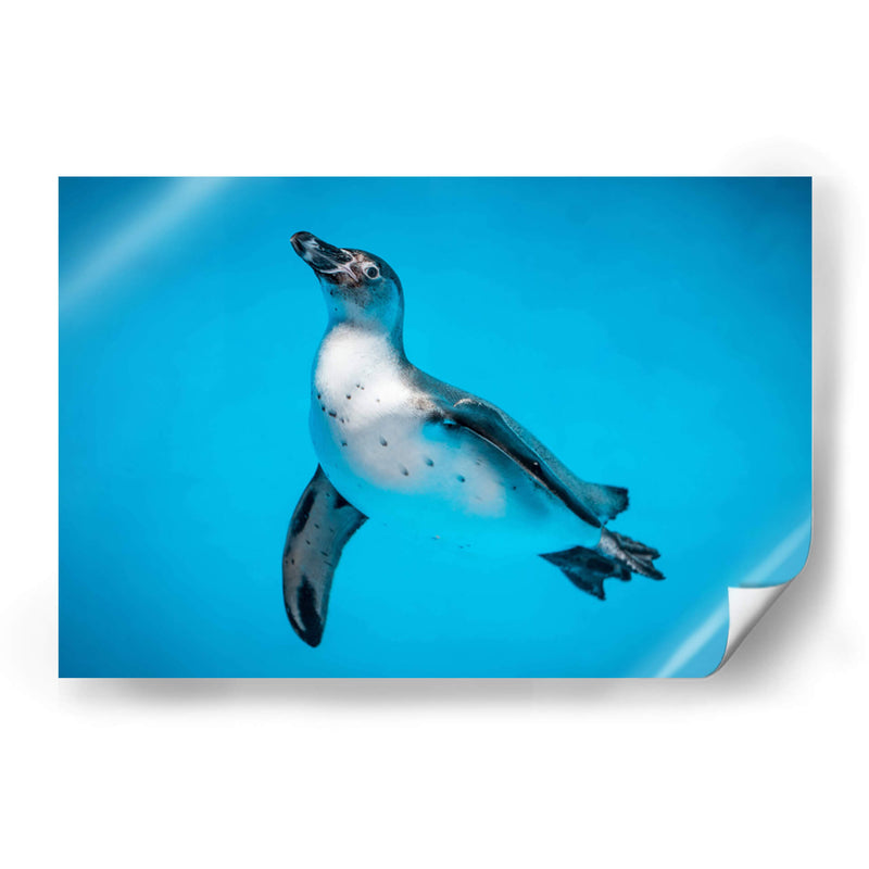 Cuadro decorativo de Canvas Lab