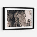 Un cacahuate por favor | Cuadro decorativo de Canvas Lab