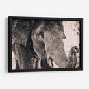 Un cacahuate por favor | Cuadro decorativo de Canvas Lab