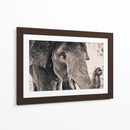 Un cacahuate por favor | Cuadro decorativo de Canvas Lab