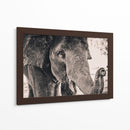 Un cacahuate por favor | Cuadro decorativo de Canvas Lab