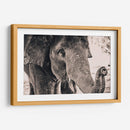 Un cacahuate por favor | Cuadro decorativo de Canvas Lab