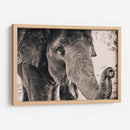 Un cacahuate por favor | Cuadro decorativo de Canvas Lab