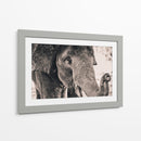 Un cacahuate por favor | Cuadro decorativo de Canvas Lab