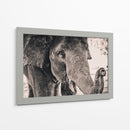 Un cacahuate por favor | Cuadro decorativo de Canvas Lab