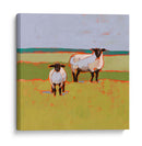 Suffolk Ovejas Ii - Victoria Borges | Cuadro decorativo de Canvas Lab
