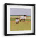 Suffolk Ovejas Ii - Victoria Borges | Cuadro decorativo de Canvas Lab