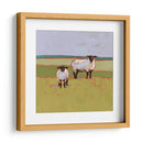 Suffolk Ovejas Ii - Victoria Borges | Cuadro decorativo de Canvas Lab