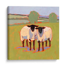 Suffolk Ovejas Iii - Victoria Borges | Cuadro decorativo de Canvas Lab