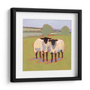 Suffolk Ovejas Iii - Victoria Borges | Cuadro decorativo de Canvas Lab
