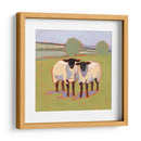 Suffolk Ovejas Iii - Victoria Borges | Cuadro decorativo de Canvas Lab
