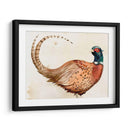 Pheasantry I - B. Hoola Van Nooten | Cuadro decorativo de Canvas Lab