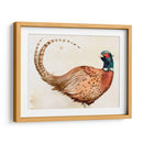 Pheasantry I - B. Hoola Van Nooten | Cuadro decorativo de Canvas Lab