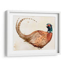 Pheasantry I - B. Hoola Van Nooten | Cuadro decorativo de Canvas Lab