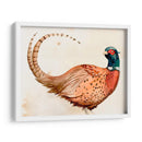 Pheasantry I - B. Hoola Van Nooten | Cuadro decorativo de Canvas Lab