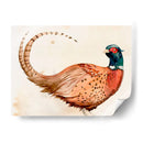 Pheasantry I - B. Hoola Van Nooten | Cuadro decorativo de Canvas Lab