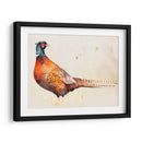 Pheasantry Ii - B. Hoola Van Nooten | Cuadro decorativo de Canvas Lab