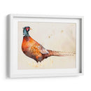 Pheasantry Ii - B. Hoola Van Nooten | Cuadro decorativo de Canvas Lab