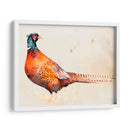Pheasantry Ii - B. Hoola Van Nooten | Cuadro decorativo de Canvas Lab