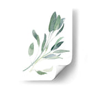 Sabio Simple I - Emma Scarvey | Cuadro decorativo de Canvas Lab